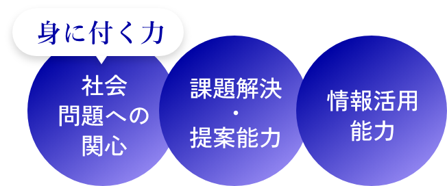 身につく力:社会問題への関心/課題解決・提案能力/情報活用能力